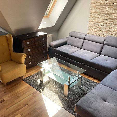 Apartament Platinum ザコパネ エクステリア 写真