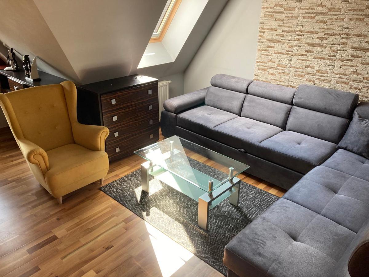 Apartament Platinum ザコパネ エクステリア 写真